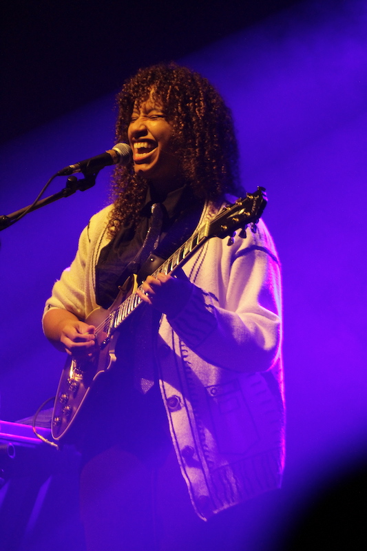 Blues Roots Festival © François Colin - Ville de Meyreuil
