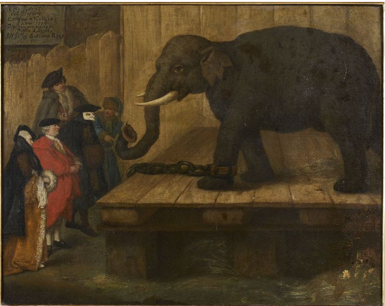 la Présentation de l'éléphant de Pietro Longhi © X-D.R.