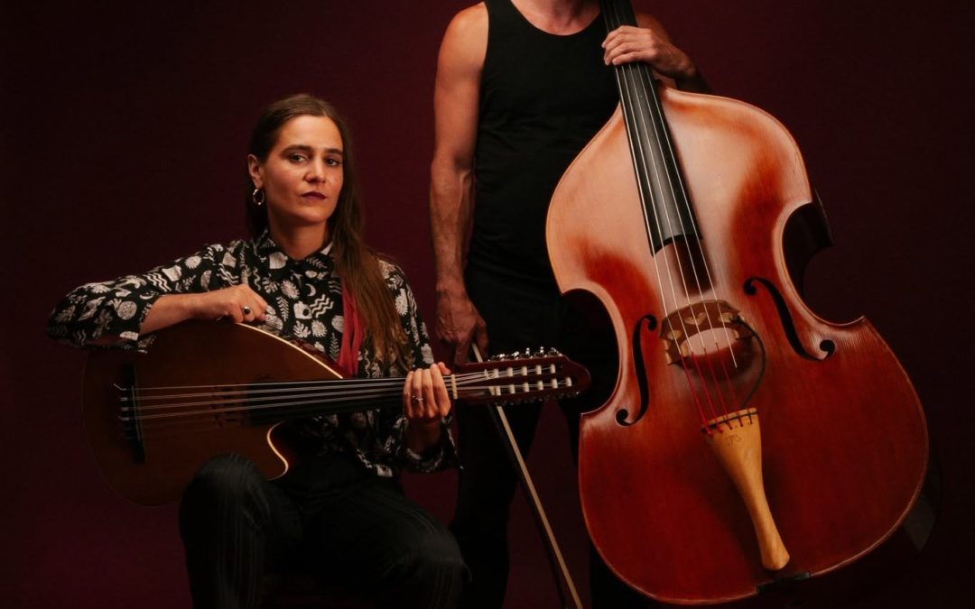 CONCERT & PIQUE-NIQUE PARTAGÉS SOUS LES PINS le 8 juillet 2026