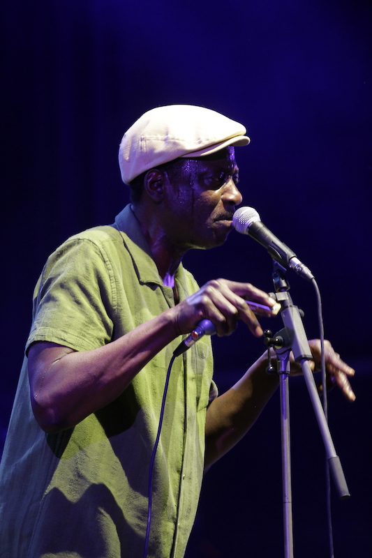 IMG_0254 Blues Roots Festival © C Colin – Ville de Meyreuil
