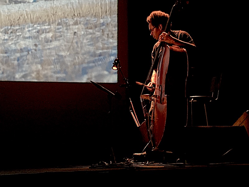 Concert-Si-seulement-je-pouvais-hiberner.